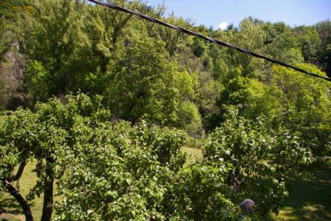 הוילה Vegacervera El Refugio De Valporquero מראה חיצוני תמונה